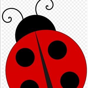 Meet your Posher, Sandy